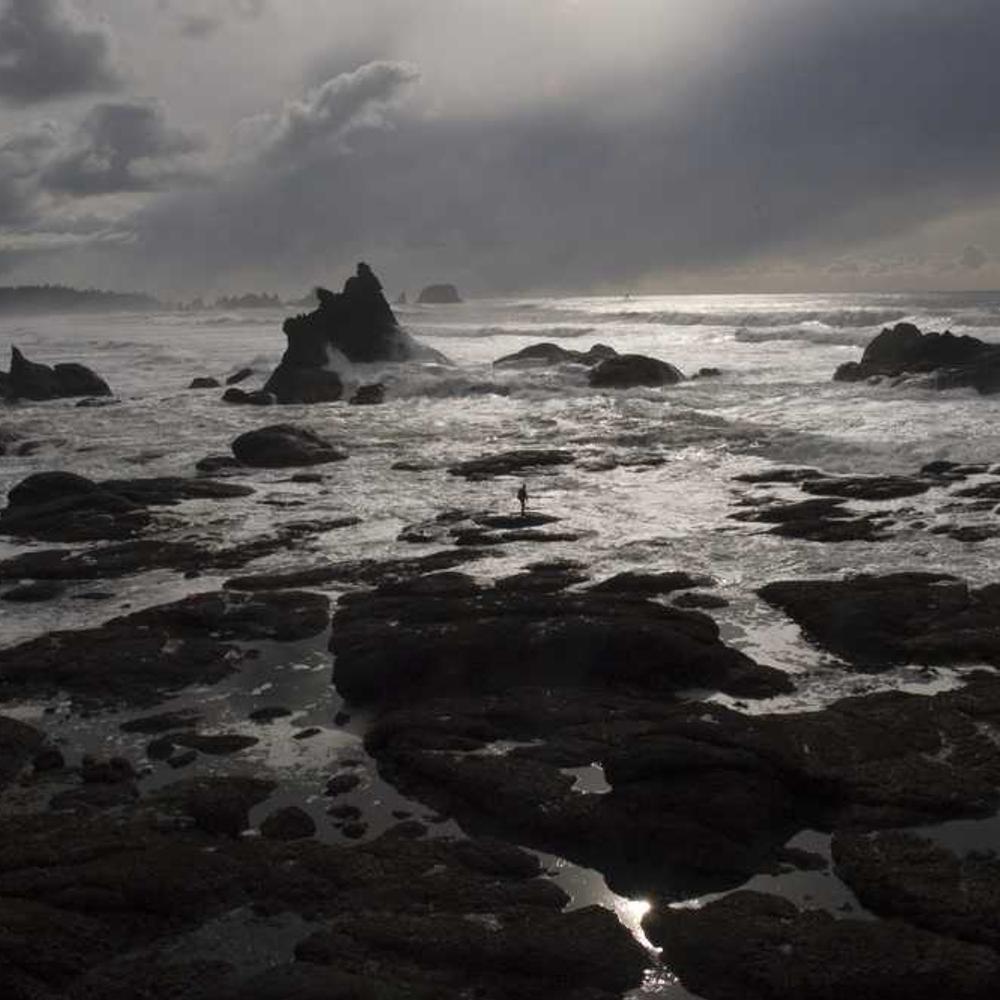 Гербіцид Гроділ Максі від постачальника Аграрна Платформа