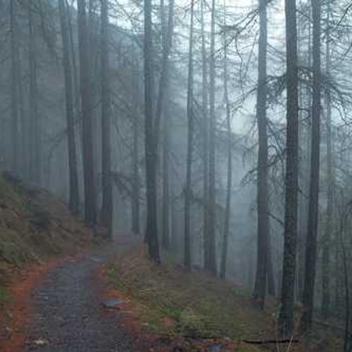 Десиканти від Бізон-Тех