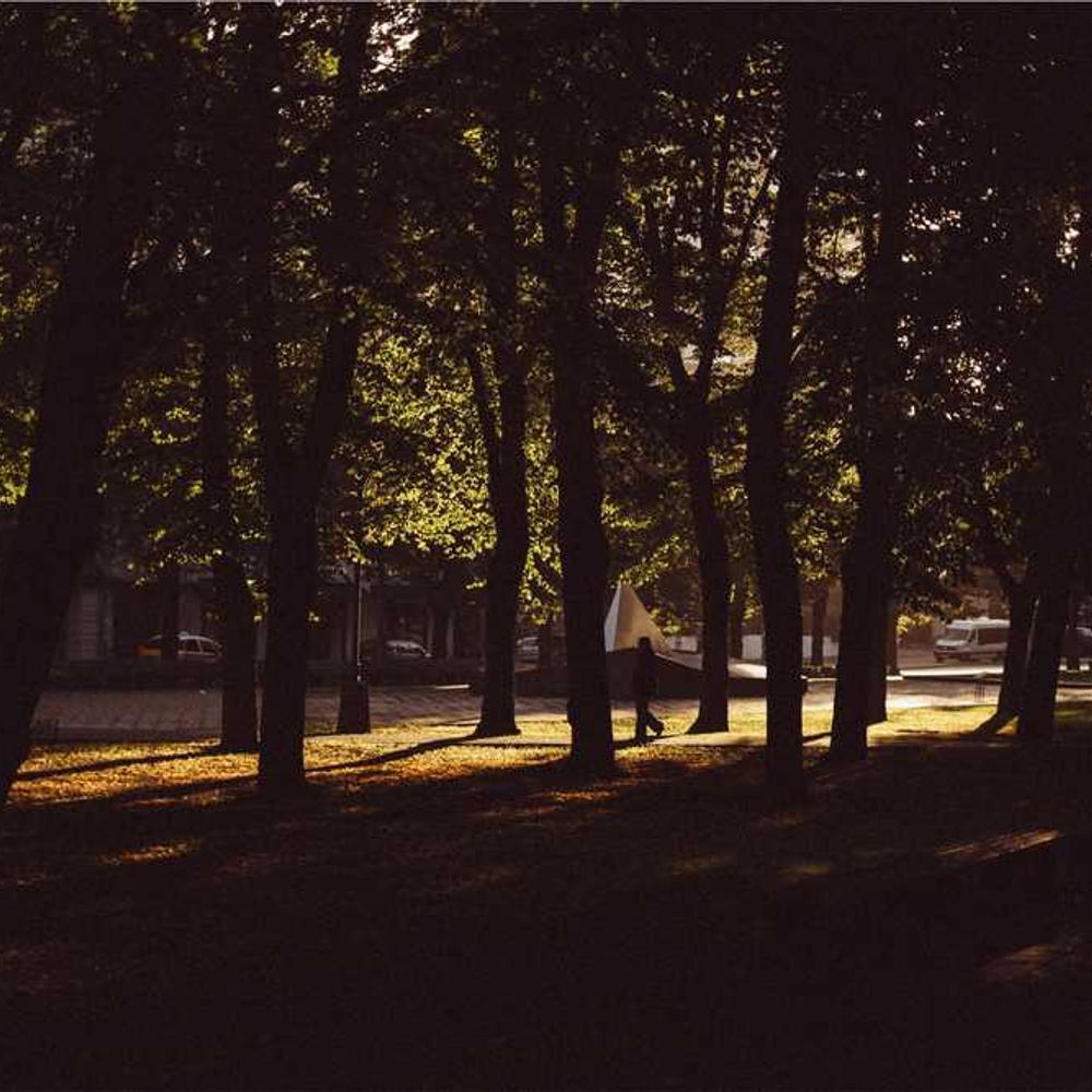 Інсектицид Моспілан (Mospilan) від постачальника Аграрна Платформа