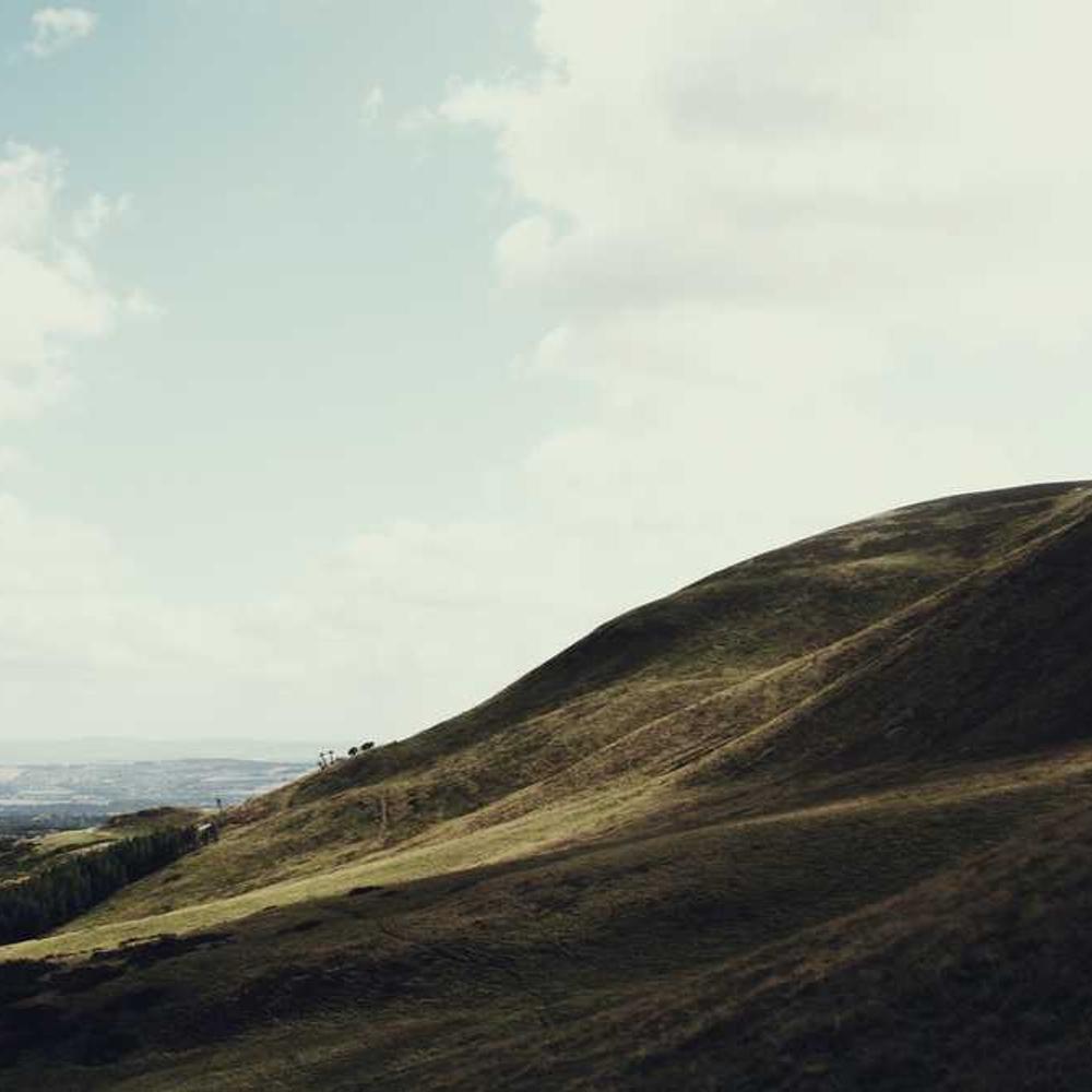 Інсектицид Мовенто від постачальника Аграрна Платформа