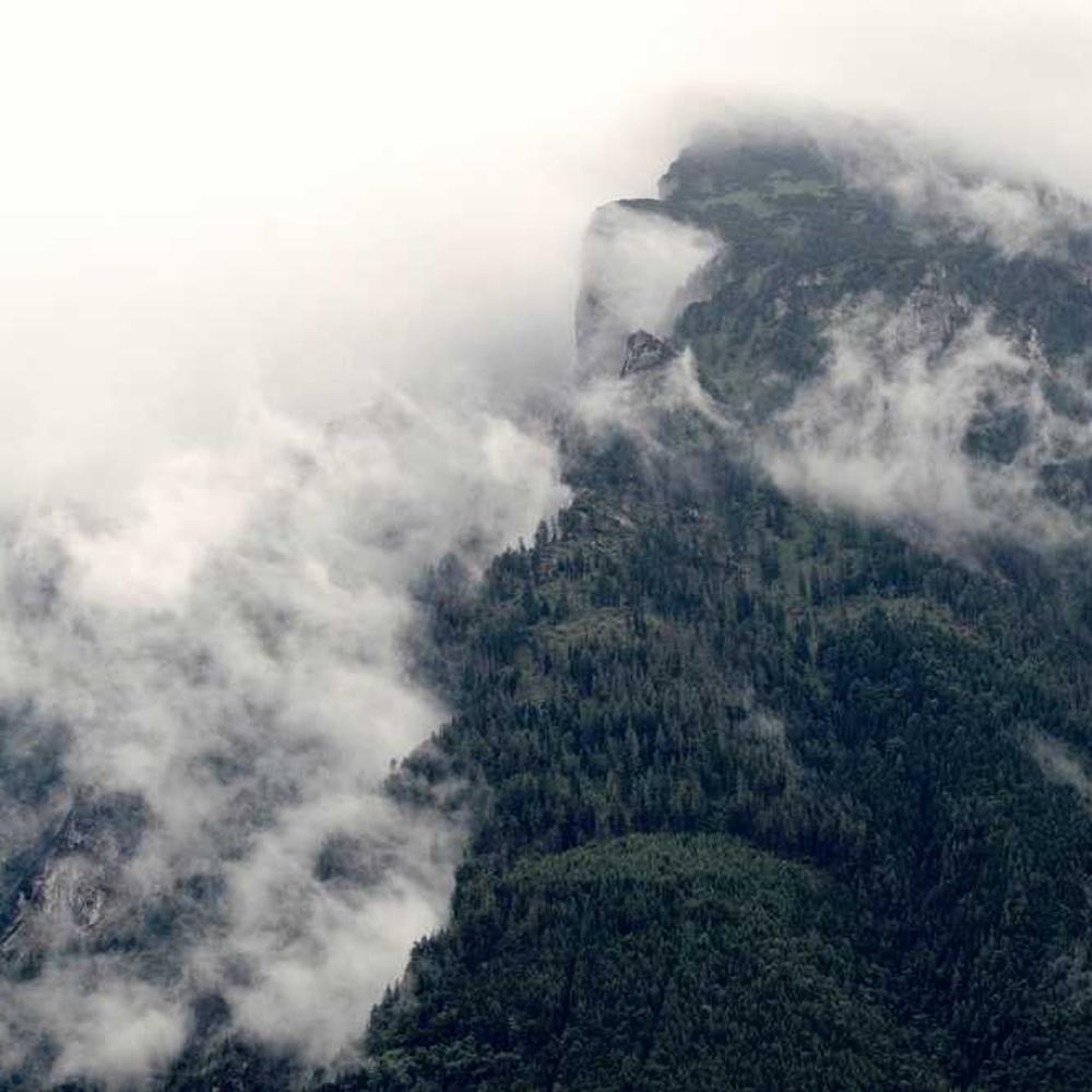 Фунгіцид Ширлан від постачальника Аграрна Платформа