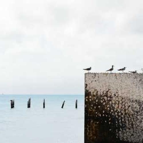 Фунгіцид Чемп Ультра DP (Champ Dry Prill) від постачальника Аграрна Платформа