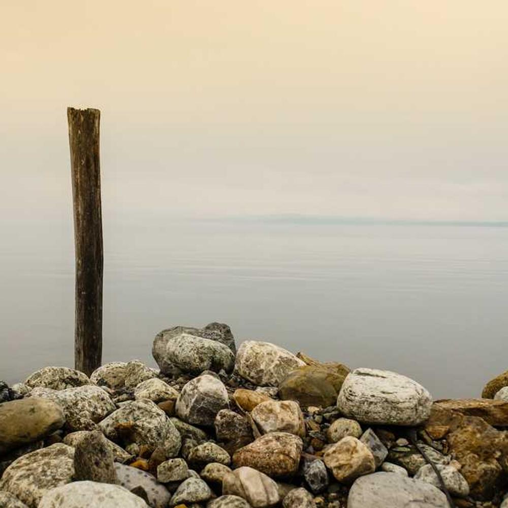 Гібрид кукурудзи ЛГ 30308 (LG 30308) від постачальника Аграрна Платформа