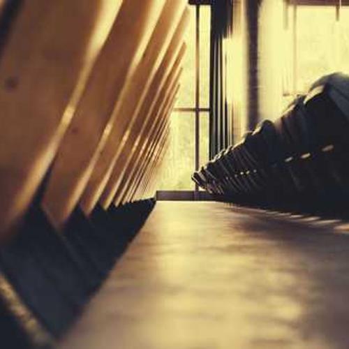 Гібрид кукурудзи СИ Теліас (SY Telias) від постачальника Аграрна Платформа