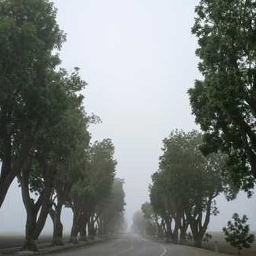 Інсектицид Енжіо від постачальника Аграрна Платформа