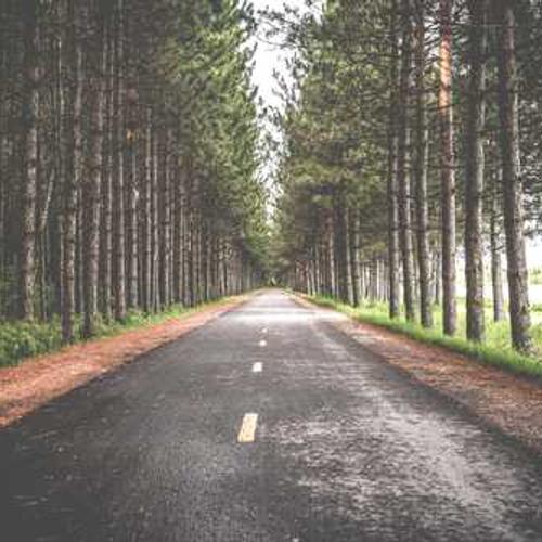 Насіння соняшнику ЛГ 5542 КЛ (LG 5542 CL)від постачальника Аграрна Платформа