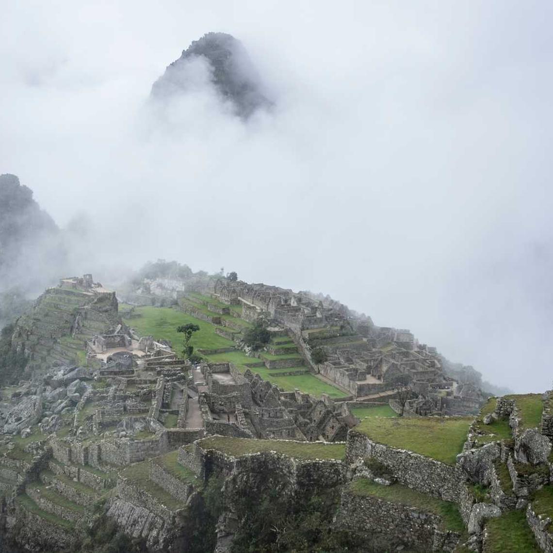 Засоби захисту рослин