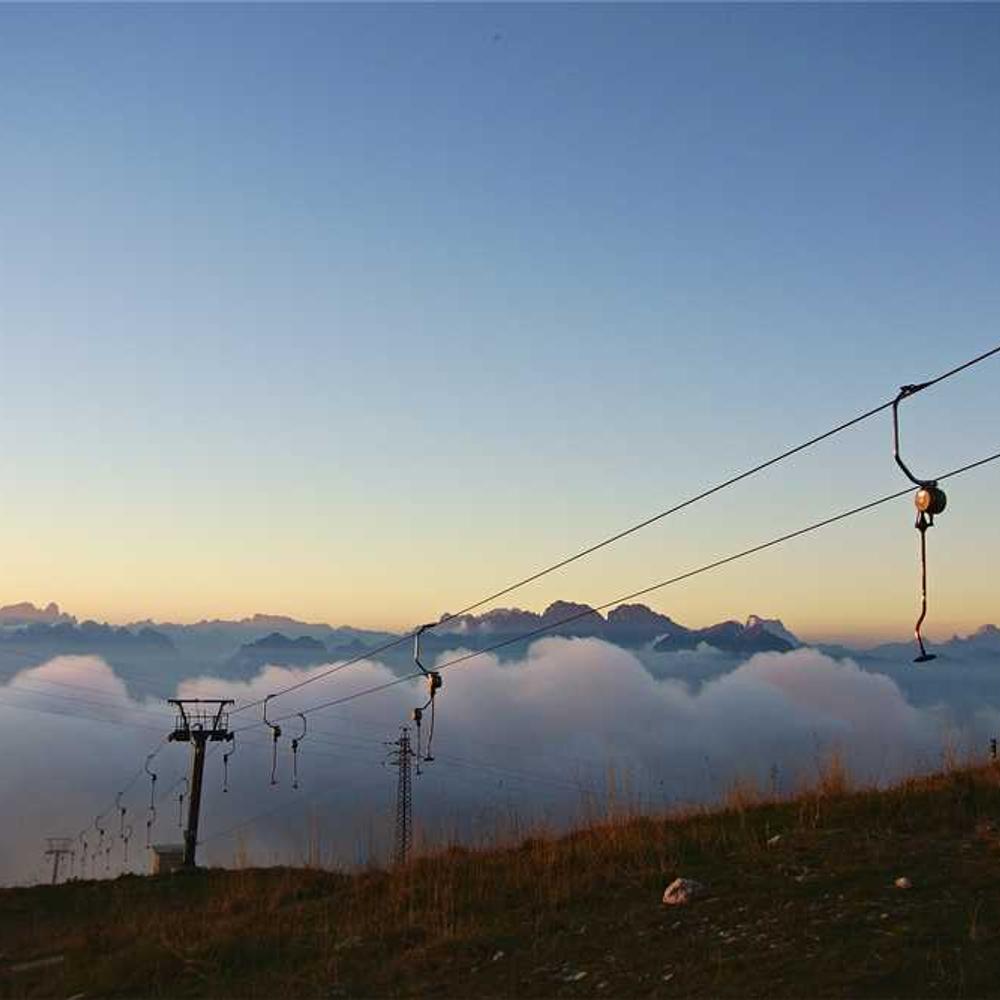 Насіння соняшнику ЛГ 5377 (LG 5377) від постачальника Аграрна Платформа