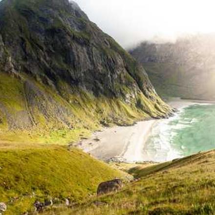 Технологія вирощування озимого ріпаку