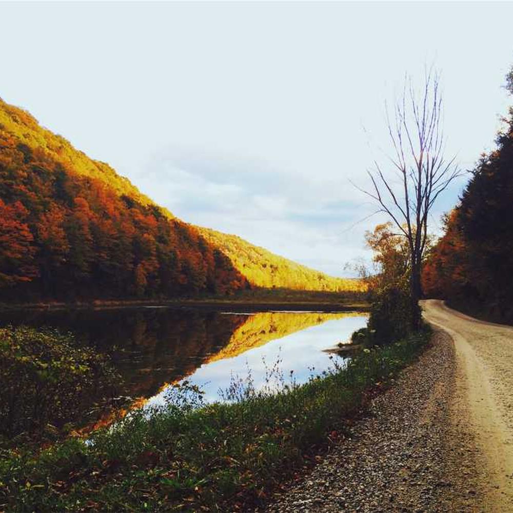 Гербіцид Бекано від постачальника Аграрна Платформа