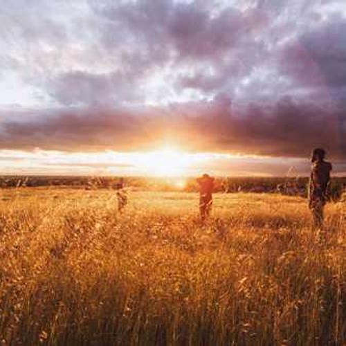 Гербіцид Бекано від постачальника Аграрна Платформа