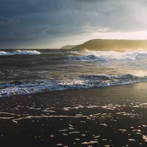 Фунгіцид Белліс від постачальника Аграрна Платформа