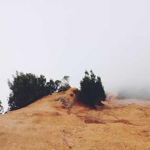 Інсектицид Верімарк (Verimark) від постачальника Аграрна Платформа