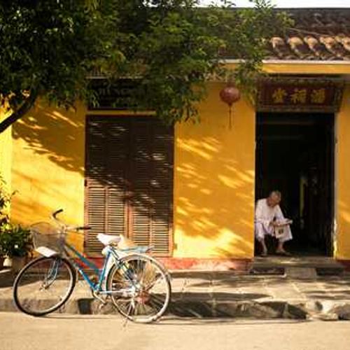 Регулятор росту БМ 86  від постачальника Аграрна Платформа