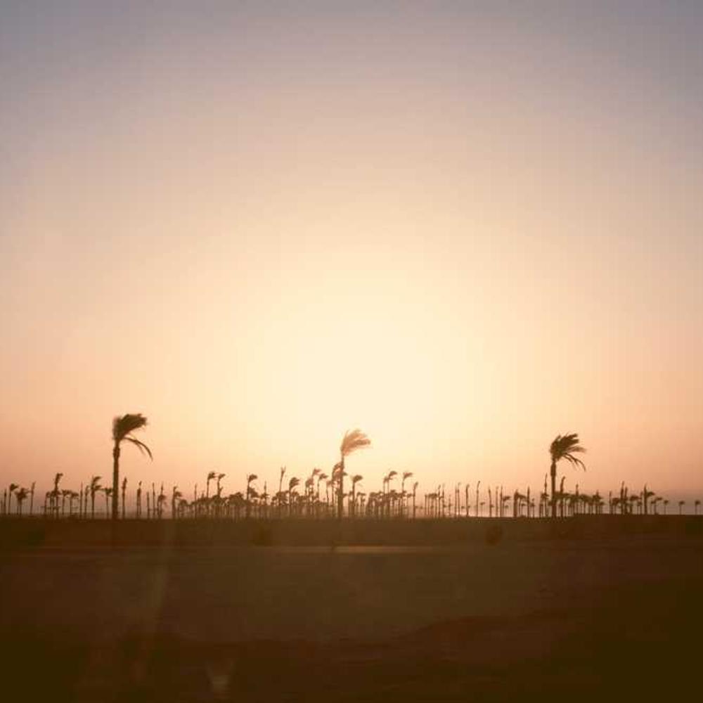 Фунгіцид Ридоміл Голд від постачальника Аграрна Платформа