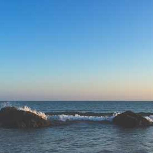 Фунгіцид Ридоміл Голд від постачальника Аграрна Платформа