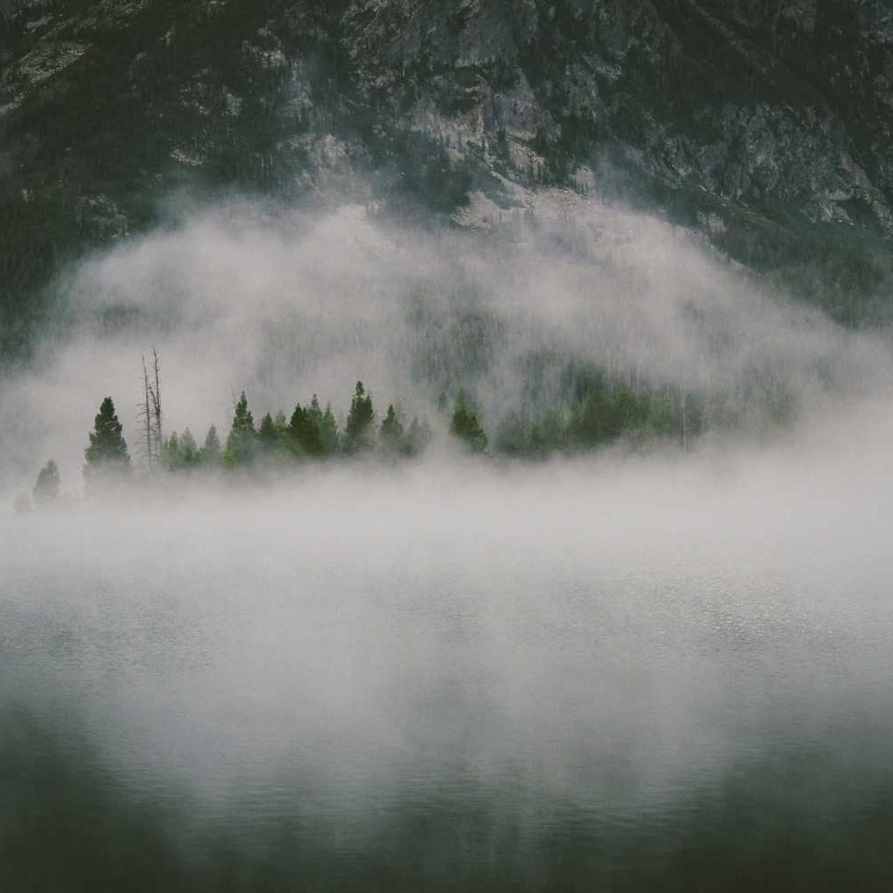 Бизон-Тех – официальный дилер Amazone