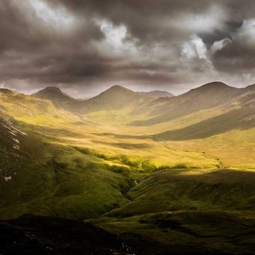 Гербіцид Квелекс від постачальника Аграрна Платформа