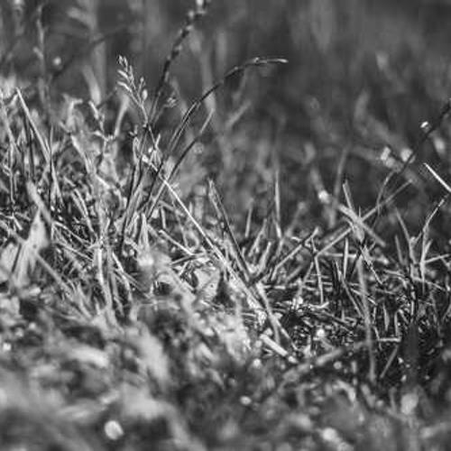 Фунгіцид Флінт Стар від постачальника Аграрна Платформа