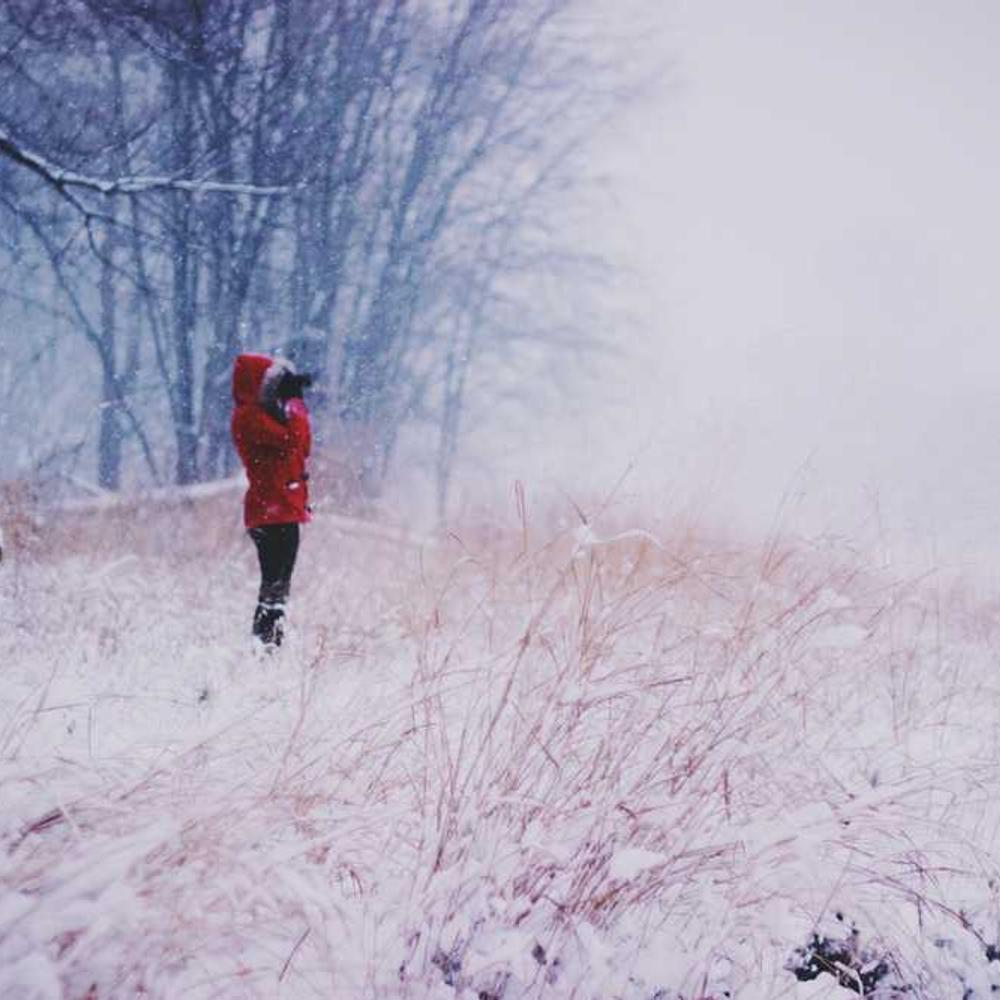 Інсектицид Номолт від постачальника Аграрна Платформа