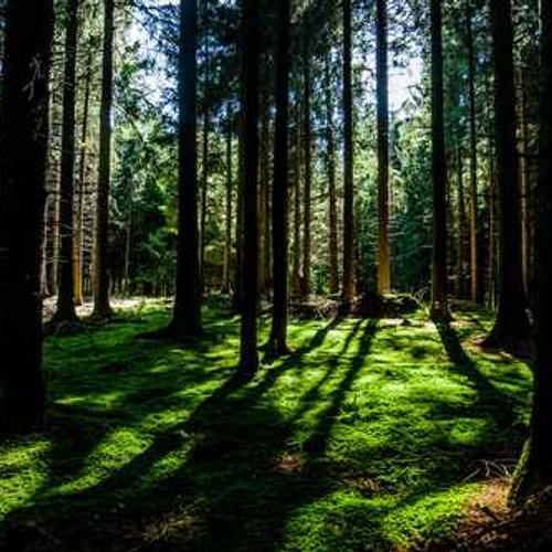 Десикант Реглон Форте від постачальника Аграрна Платформа