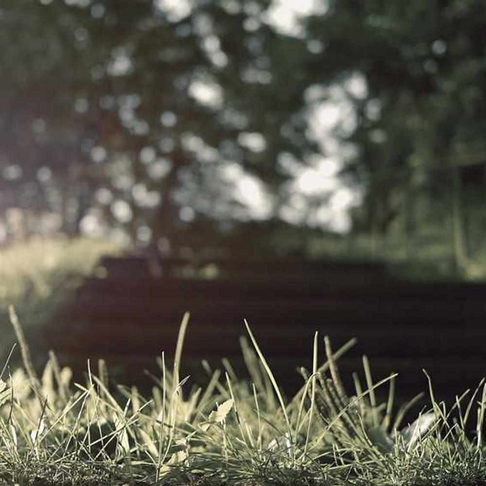 Гербіцид Стеллар Плюс від постачальника Аграрна Платформа