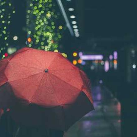 Що таке азотні добрива: види, правила використання, норма внесення