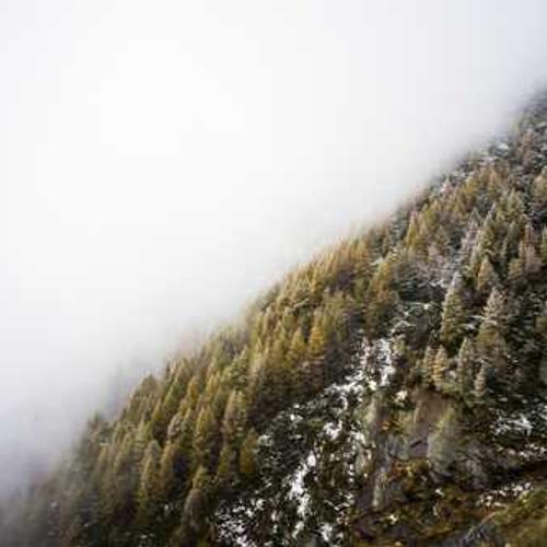 Гербіцид Клінік Макс (Clinic Max) від постачальника Аграрна Платформа