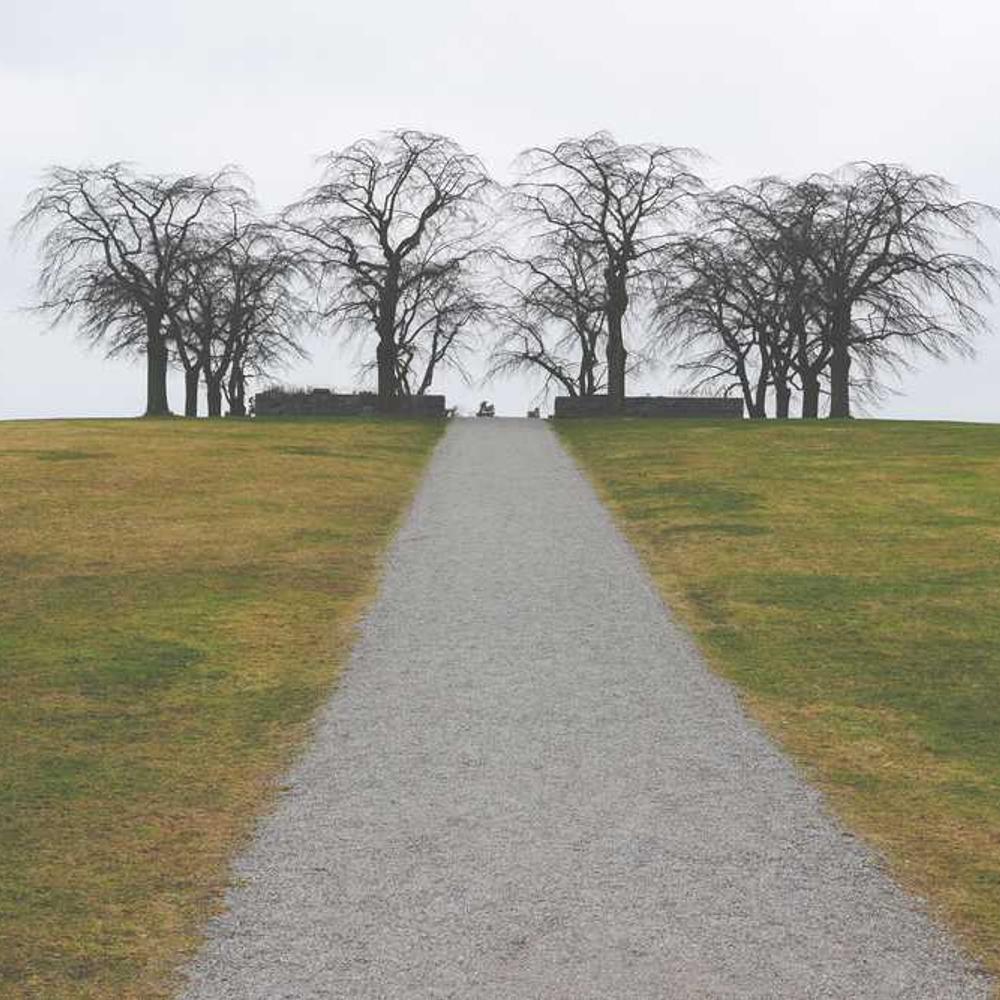 Гербіцид Зенкор Ліквід від постачальника Аграрна Платформа