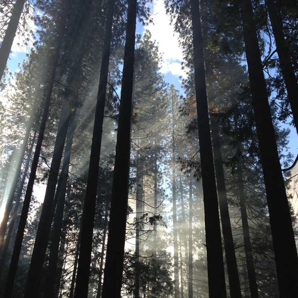 Фунгіцид Рекс Плюс від постачальника Аграрна Платформа