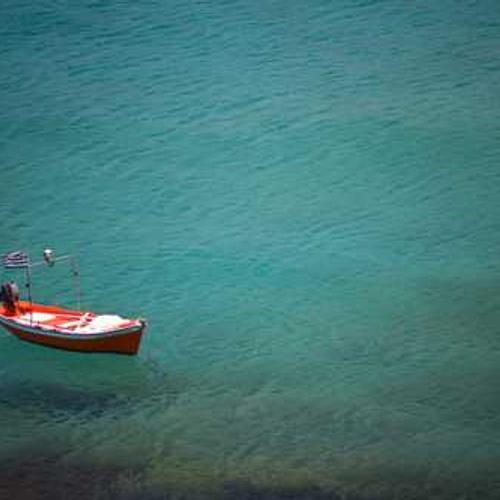 Фунгіцид Скала від постачальника Аграрна Платформа