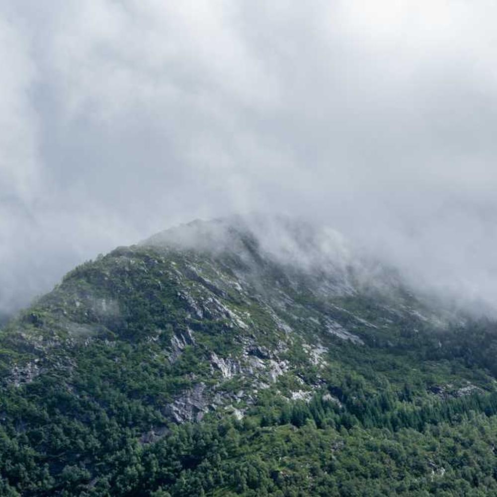 Гербіцид Клінік Ікстрим (Clinic Xtreme) від постачальника Аграрна Платформа