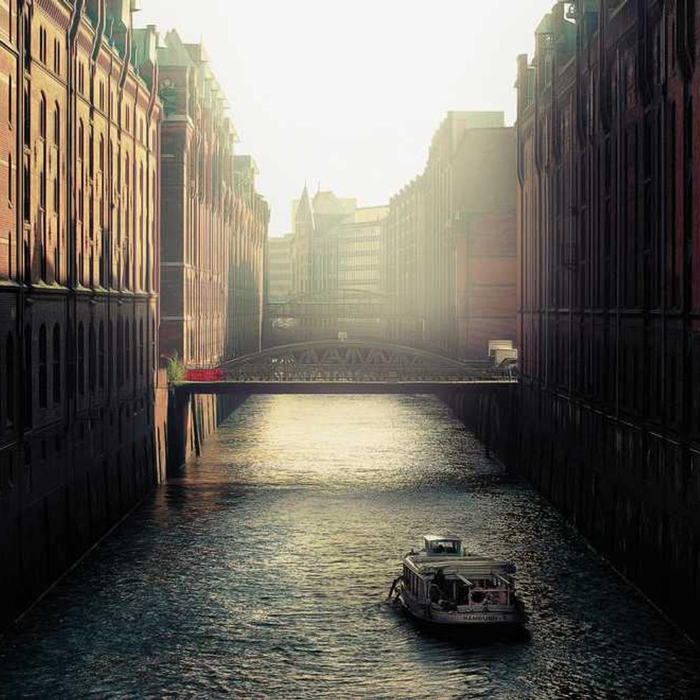 Насіння соняшнику Суміко HTS (Sumiko HTS) від постачальника Аграрна Платформа