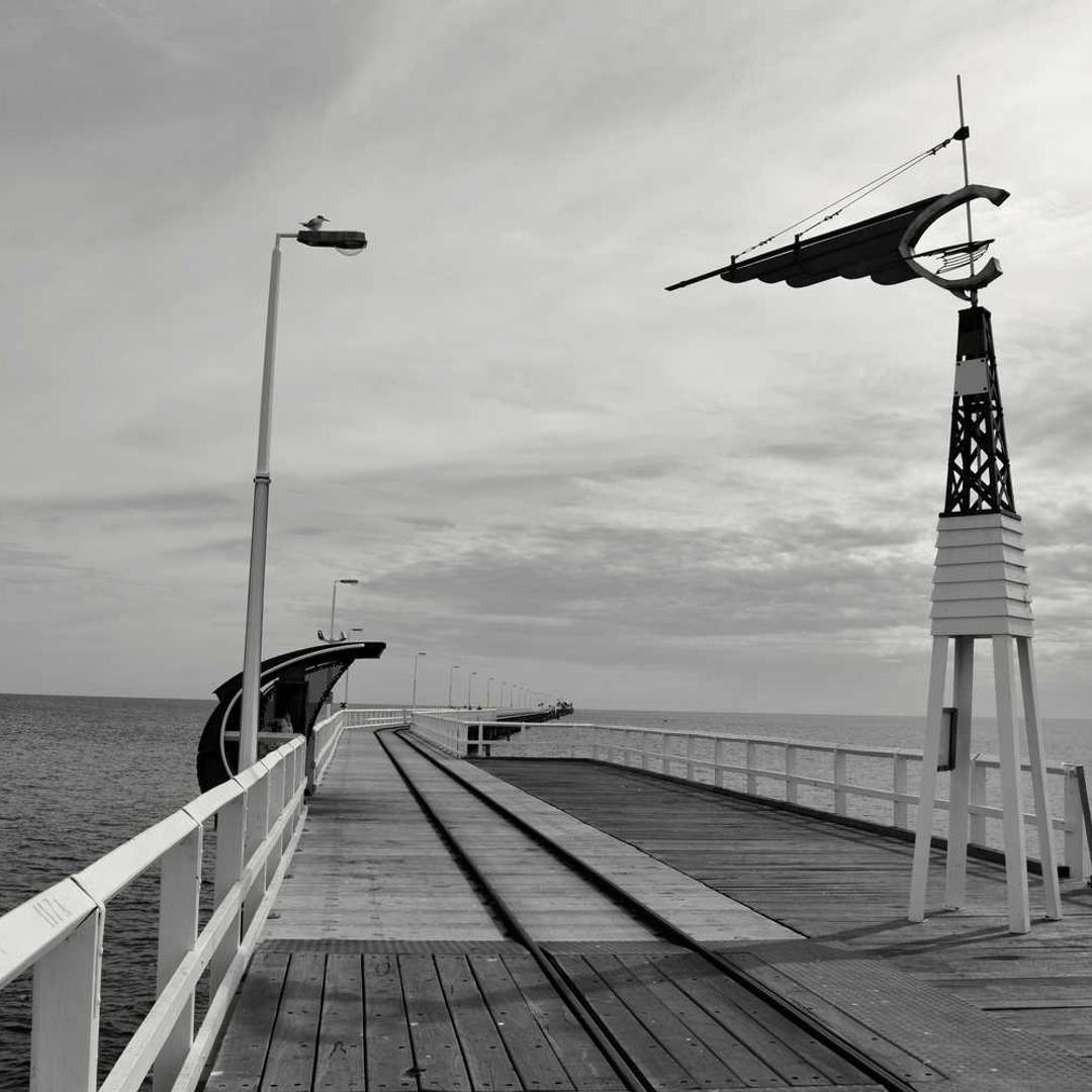 Гібрид кукурудзи МАС 25.Ф (MAS 25.F) від Бізон-Тех