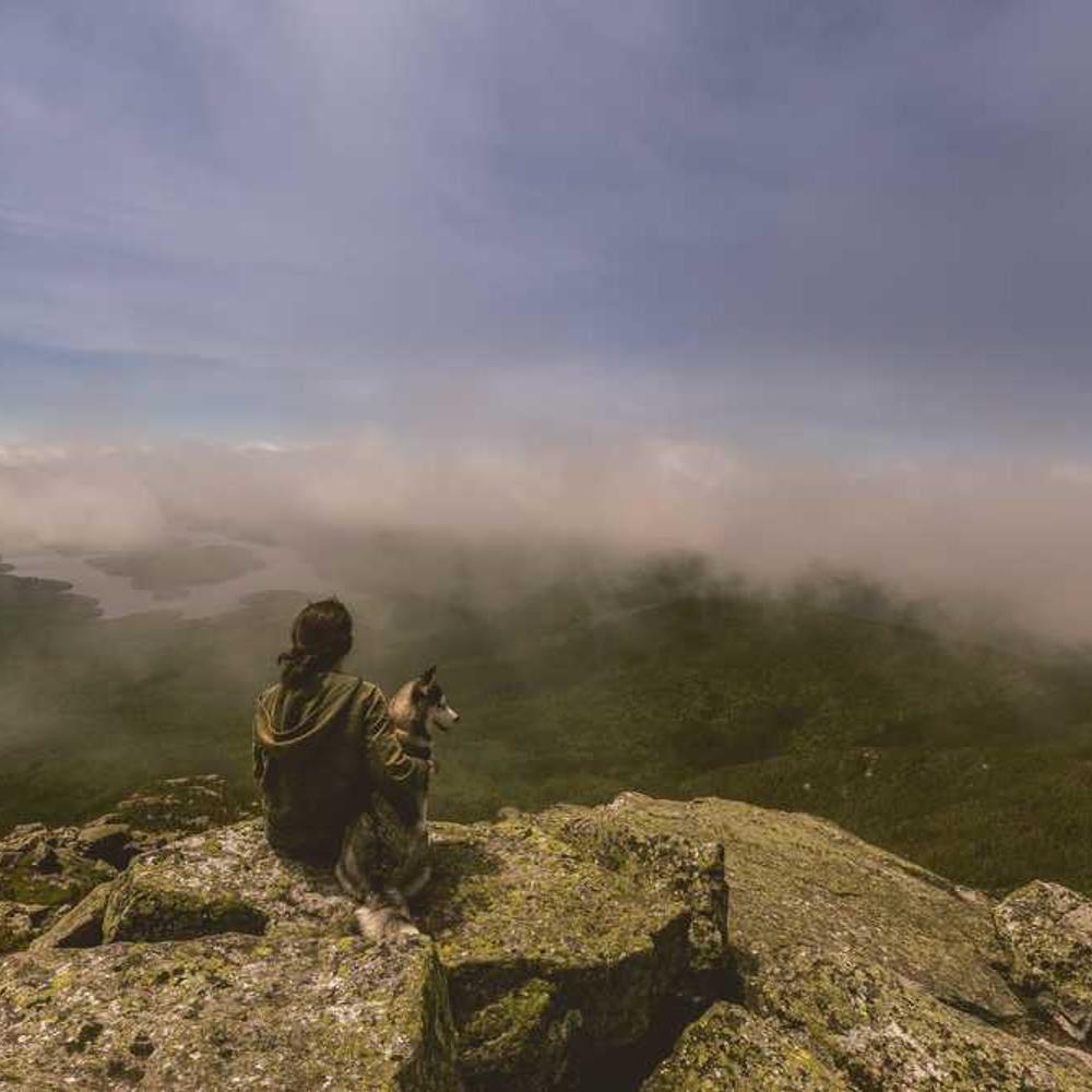 Протруйник Максим XL 035 FS від постачальника Аграрна Платформа