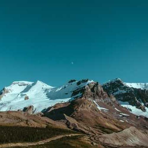 Протруйник Максим XL 035 FS від постачальника Аграрна Платформа