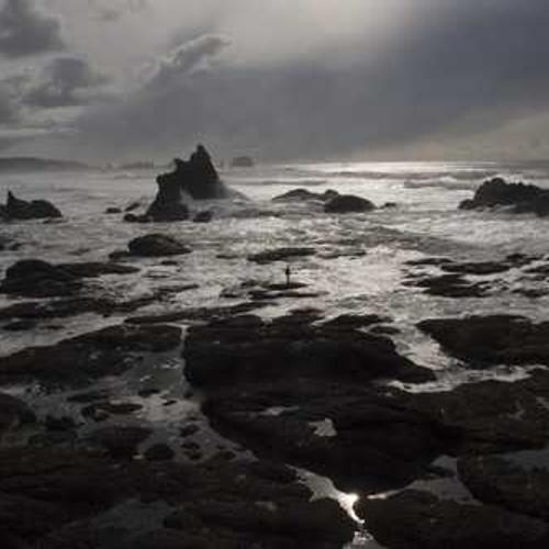 Насіння соняшнику НК Неома (NK Neoma) від постачальника Аграрна Платформа