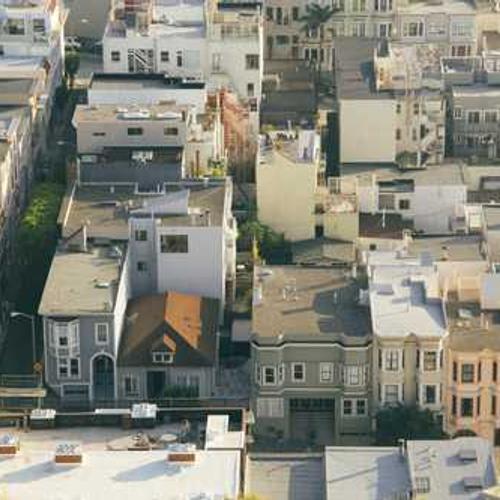 Насіння соняшнику CИ Барбаті (SY Barbati) від постачальника Аграрна Платформа