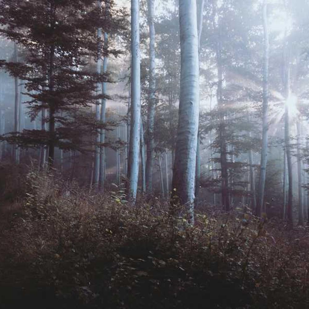 Регулятор росту Медакс Топ від постачальника Аграрна Платформа