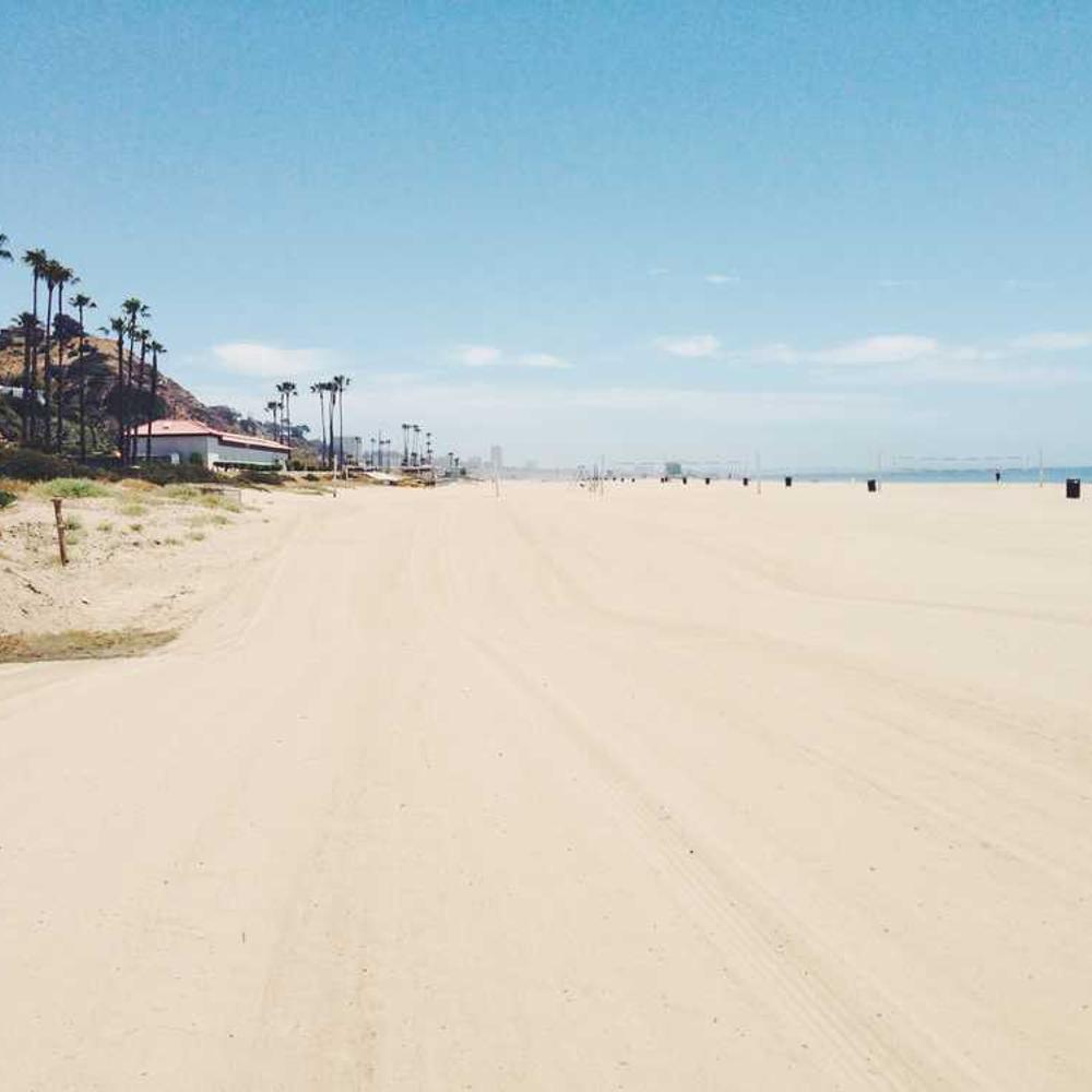 Инсектицид Конфидор от поставщика Аграрная Платформа