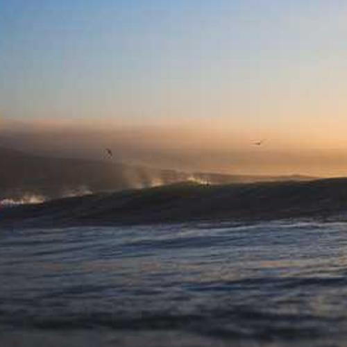 Інсектицид Конфідор від постачальника Аграрна Платформа