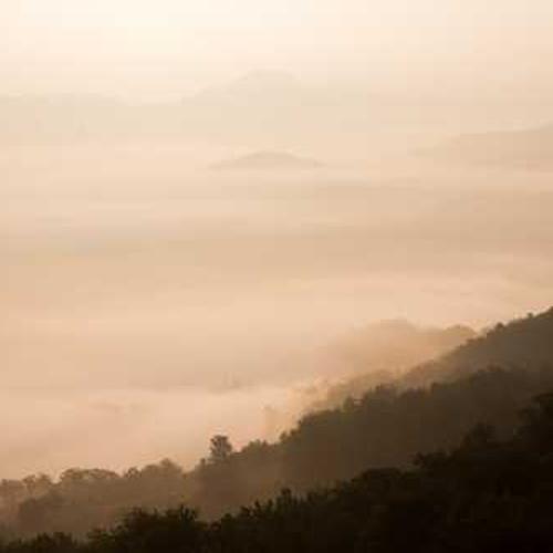 Регулятор росту Аппетайзер  від постачальника Аграрна Платформа