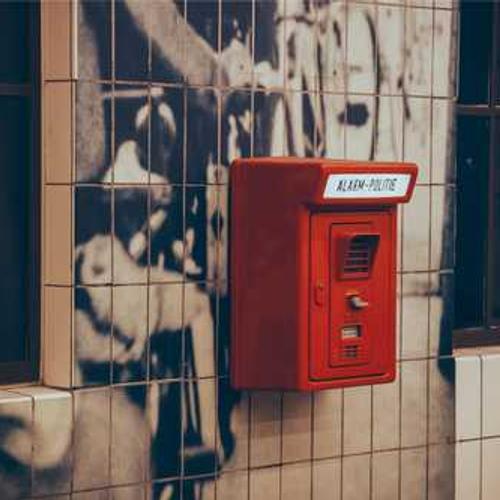 Гібрид кукурудзи ЛГ 3350 (LG 3350) від постачальника Аграрна Платформа