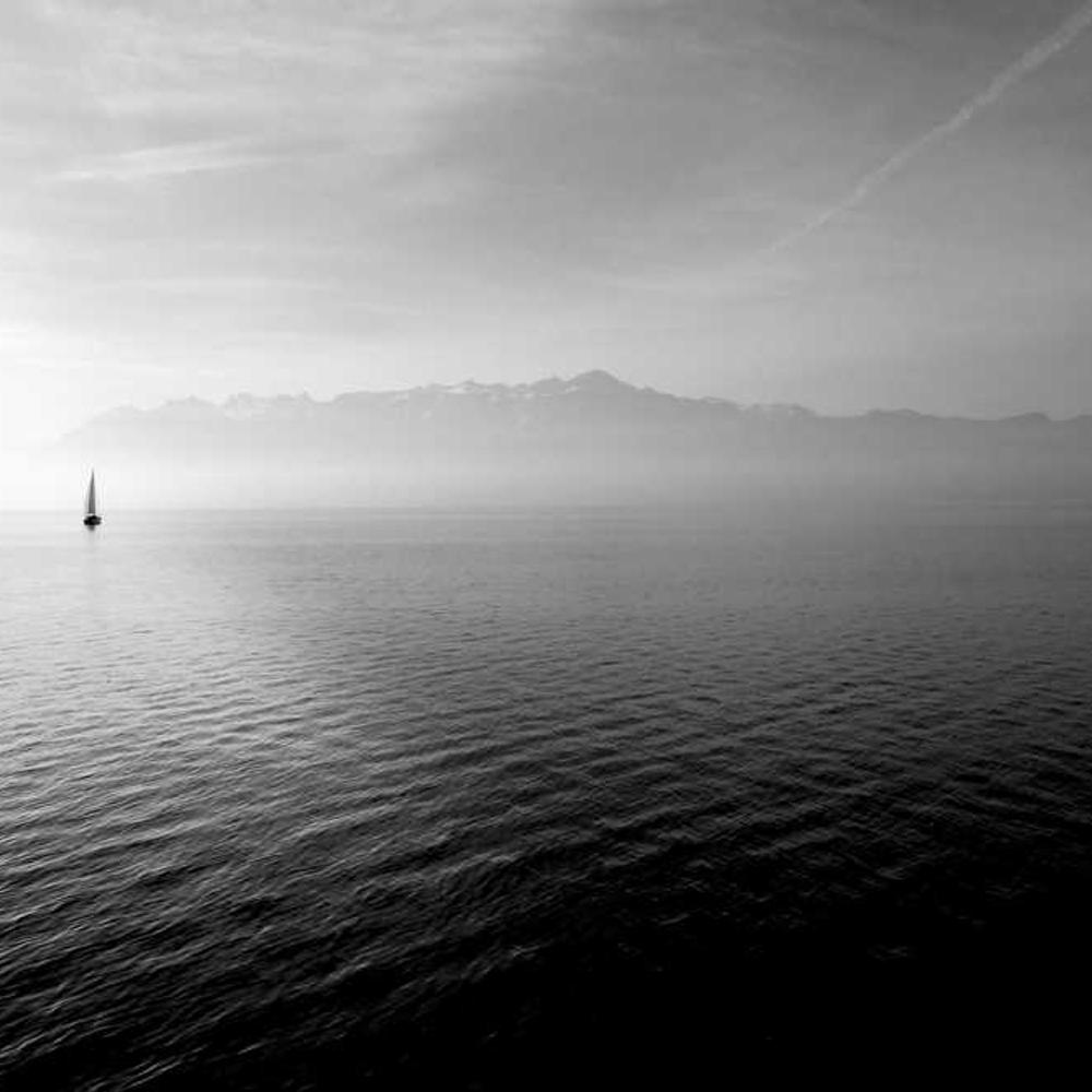 Фунгіцид Колліс від постачальника Аграрна Платформа