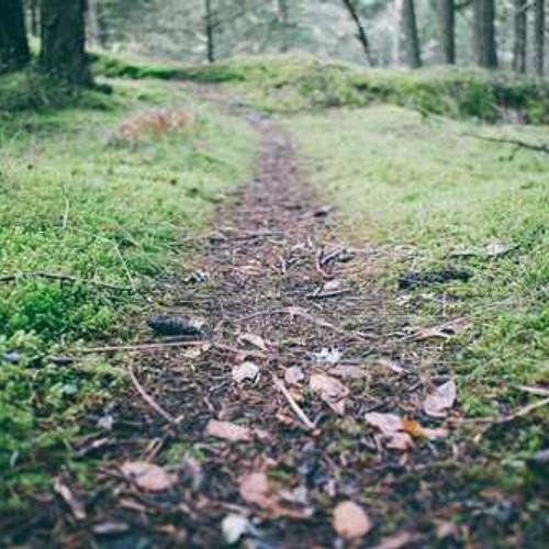 Фунгіцид Колліс від постачальника Аграрна Платформа