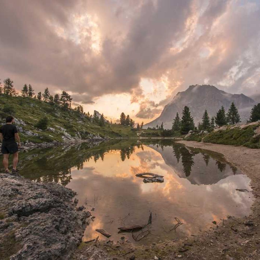 Гібрид кукурудзи СИ Зефір (SY Zefir) від постачальника Аграрна Платформа