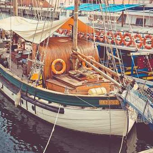 Гібрид кукурудзи СИ Зефір (SY Zefir) від постачальника Аграрна Платформа