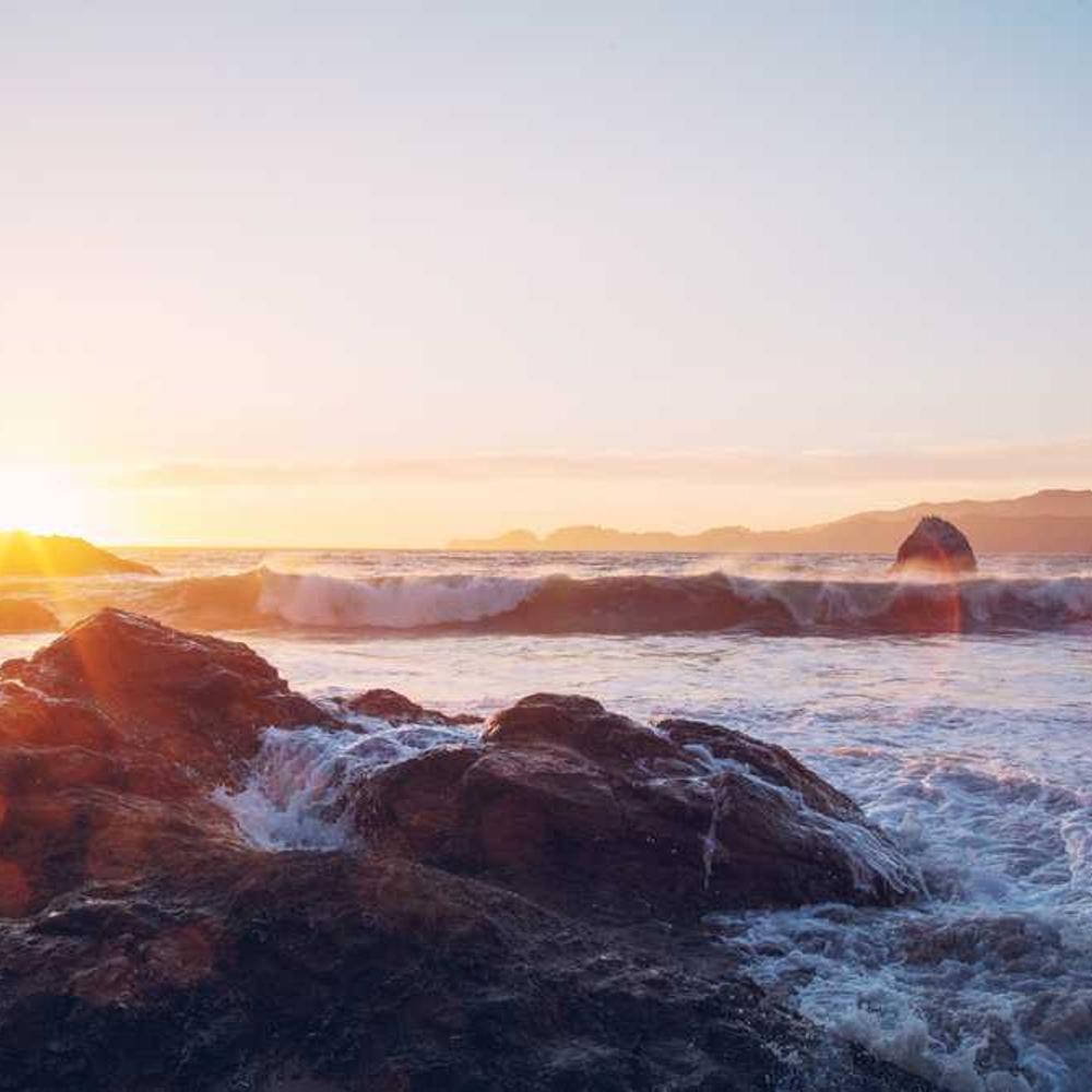 Фунгіцид Елатус Ріа від постачальника Аграрна Платформа