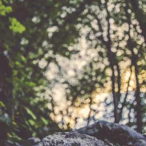 Протруйник Круїзер OSR від постачальника Аграрна Платформа