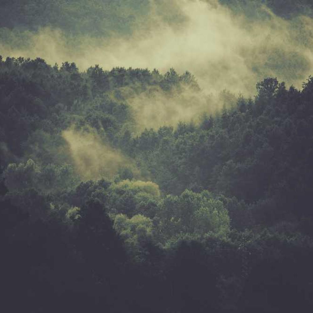 Протруйник Максим Форте 050 від постачальника Аграрна Платформа